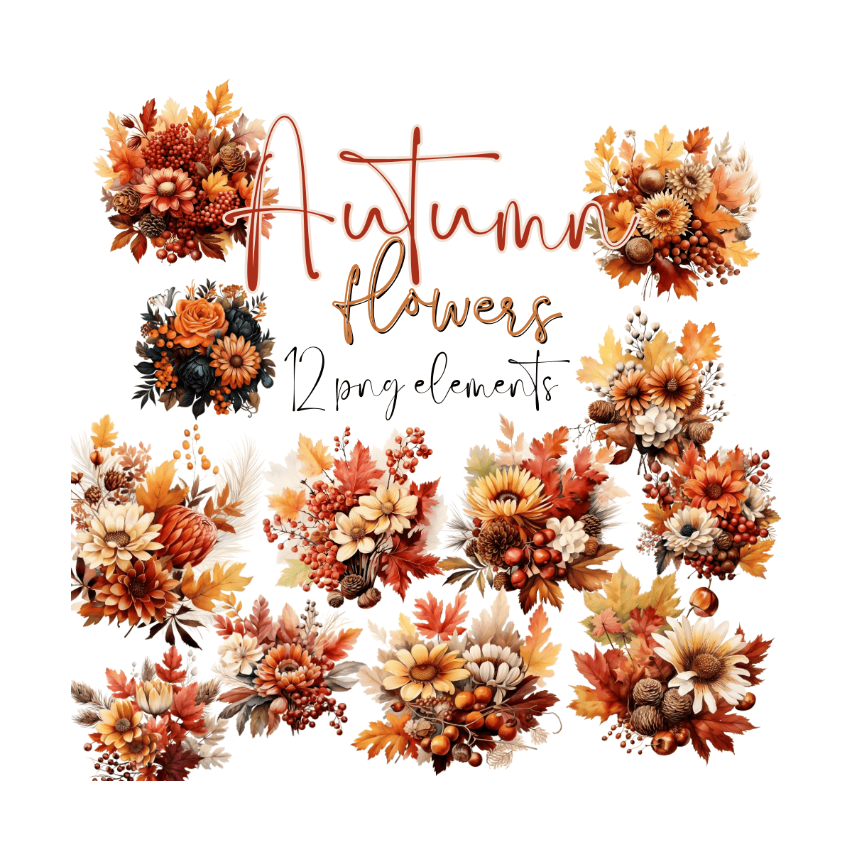 Zestaw Autumn Flowers 01